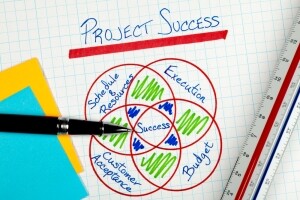 The DAPEE Model of Project Management